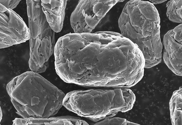 Single graphite particle under electron microscope