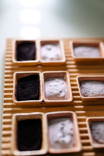 A row of small sample trays holding different powder formulations, from dark raw material to fine light powders